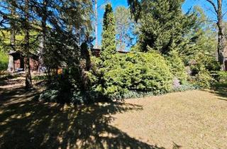 Haus kaufen in 16244 Schorfheide, Schorfheide - Pachtgrundstück Schorfheide Bungalow Waldgrundstück Garten
