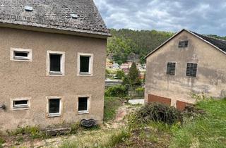 Haus kaufen in 01814 Bad Schandau, Bad Schandau - Wohnhaus mit kleinem Hof in 01814 KrippenBad Schandau zu verkauf