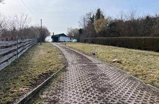 Einfamilienhaus kaufen in 06313 Ahlsdorf, Ahlsdorf - Einfamilienhaus Bungalow 06313 Hergisdorf Mieten oder Kaufen
