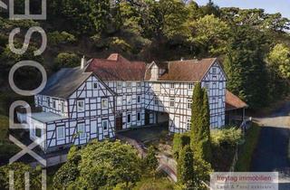 Haus kaufen in 34399 Gieselwerder, Geschichtsträchtiges Unikat: Wassermühle im Weserbergland