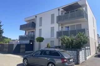 Wohnung mieten in 64653 Lorsch, Helle, neuwertige 2-ZimmHelle 2 Zimmer-Wohnung mit Balkon, Aufzug, Stellplatz