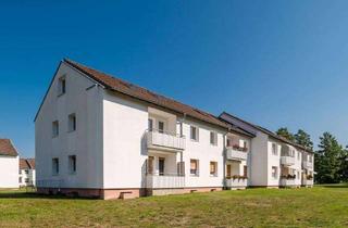 Wohnung mieten in Beckstraße 11, 29223 Celle, Für Sie umfassend saniert - 3-Zimmer-Erdgeschosswohnung mit neuem Duschbad!