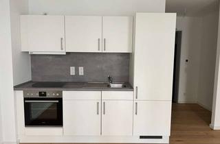 Wohnung mieten in 10315 Friedrichsfelde, 1 Zimmer Neubau Apartment mit Einbauküche und Terrasse