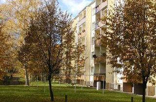 Wohnung mieten in Werner-Seelenbinder-Str. 56, 07629 Hermsdorf, Die Neue! Hier sind kurze Wege nicht nur eine Phrase.