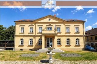 Villa kaufen in 04288 Liebertwolkwitz, Außergewöhnliche Villa - 3 Wohneinheiten mit großem Grundstück – hochwertig & vielseitig nutzbar