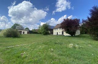 Haus kaufen in 93464 Tiefenbach, Die perfekte Ortsrandlage, Wohnhaus, Garagen, Wirtschaftsgebäude in sonniger, ruhiger Lage!