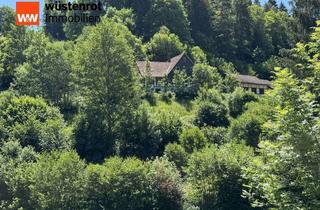 Einfamilienhaus kaufen in 78730 Lauterbach, Naturidylle im Luftkurort Lauterbach – Einfamilienhaus und Lagerhalle mit über 13.000 m² Grundstück