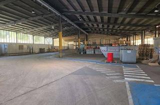 Gewerbeimmobilie mieten in 67269 Grünstadt, Hallenflächen teilbar ab 250 m² zu vermieten