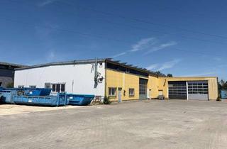 Gewerbeimmobilie mieten in Daimlerstraße 11, 89312 Günzburg, Lagerfläche im Gewerbegebiet Donauried Günzburg
