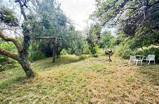 Grundstück zu kaufen in Im Nachtschatten, 61476 Kronberg, Traumhaftes Gartengrundstück am Quellenpark Kronthal