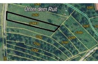 Grundstück zu kaufen in 71364 Winnenden, 1362 m² Landwirtschaftliche Fläche "Unter dem Ruit" in 71364 Winnenden zu verkaufen