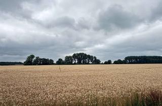 Grundstück zu kaufen in 47625 Kevelaer, Ackerland in Kevelaer-Wetten
