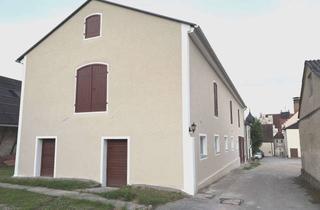 Immobilie mieten in De-Bassusstr. 1-3, 93336 Altmannstein, Schloss Sandersdorf: Neu sanierter Pferdestall mit großzügigen Koppelflächen zu verpachten