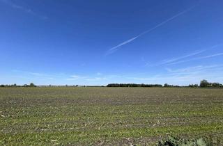 Gewerbeimmobilie kaufen in 89407 Dillingen, div. landw. Acker/Wiesenflächen im Raum Dillingen gegen Gebot