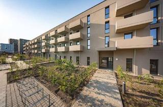 Wohnung mieten in An Den Rohrbruchwiesen 25, 13599 Haselhorst, Familienwohnung im Neubau