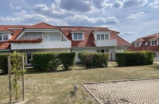 Wohnung mieten in Telemannstraße 20, 38820 Halberstadt, Ruhige 1-Raum-Wohnung im Dachgeschoss in Halberstadt