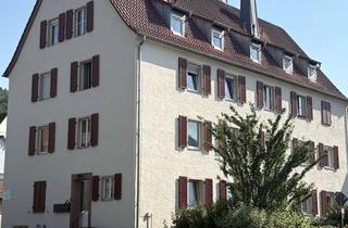 Wohnung mieten in Landauer Straße 44, 76855 Annweiler, Helle 2 ZKB Wohnung mit Trifelsblick im 1.OG Erstbezuzg nach kompletter Sanierung