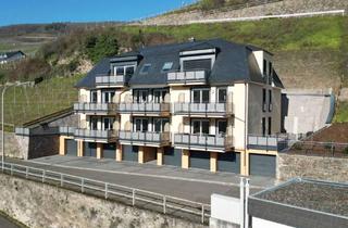 Wohnung mieten in Zandtstrasse 106, 56856 Zell, 3 ZKB HighEnd-Komfort-Wohnung mit unverbaubaren Moselblick