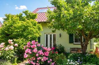 Einfamilienhaus kaufen in 04328 Paunsdorf, Traumhaftes Einfamilienhaus mit Erdwärme und Solarthermie