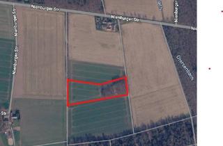 Gewerbeimmobilie kaufen in Nienburger Str., 27211 Bassum, Landwirtschaftliche Nutzfläche mit Mischwaldbestand in Neubruchhausen