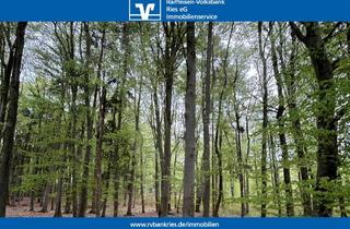 Immobilie kaufen in 91805 Polsingen, Waldgrundstück in der Gemarkung Polsingen zu insgesamt ca. 6.552 m²