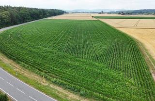 Grundstück zu kaufen in 64823 Groß-Umstadt, DIETZ: Ackerlandfläche direkt an einer Landstraße zu verkaufen zwischen Groß-Umstadt und Münster!