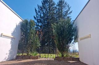 Wohnung kaufen in 36355 Grebenhain, Grebenhain - Ferienwohnung Eigentumswohnung
