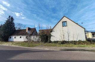 Haus kaufen in 39291 Möckern, Möckern - LANDHAUS (EFH) & NEBENGEBÄUDE