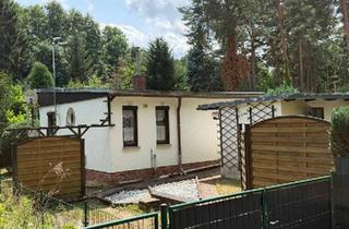 Haus kaufen in 06901 Kemberg, Kemberg - Gepflegtes Wochenendgrundstück mit Bungalow in ruhiger Waldlage