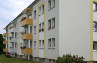 Wohnung mieten in Dr.-Theodor-Neubauer-Straße 25, 07546 Gera, Sanierte 3-Raum-Wohnung mit bodengleicher Dusche in grüner Lage