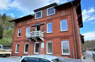 Wohnung mieten in Tesperhuder Str. 42, 21502 Geesthacht, Sanierung in 2023: Großzügige 3-Zimmer-Altbau-Wohnung im EG mit Terrasse