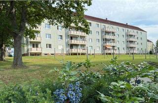 Wohnung mieten in Albert-Schweitzer-Ring 38, 08112 Wilkau-Haßlau, Wohlfühlwohnung mit Balkon