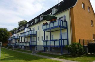 Wohnung mieten in Ludwig-Meyn-Str. 8 a, 25336 Elmshorn, Gemütliche 2,5 Zimmer-Wohnung mit Balkon