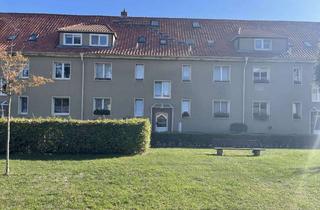 Wohnung mieten in Sargstedter Weg 22, 38820 Halberstadt, Schöne 2 Raum Wohnung 1. Obergeschoss