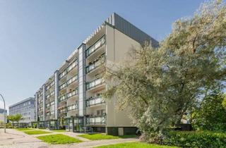 Wohnung mieten in Mlada-Boleslaver-Straße 10, 17036 Neubrandenburg, Schöne Wohnung für Singles und Paare!