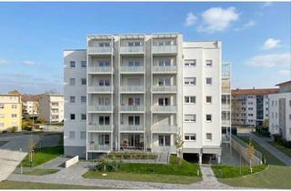 Wohnung mieten in Heidelberger Straße 71 A, 64584 Biebesheim, Gemütliche 1 Zimmer Wohnung mit schönem Ausblick