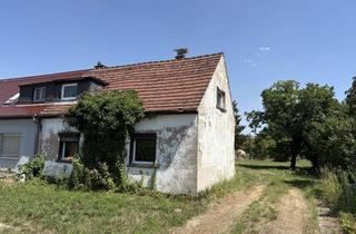 Haus kaufen in Dahlienweg 12, 04435 Schkeuditz, Schkeuditz- Papitz, Sanierungsobjekt mit herrlichem Grundstück