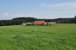 Haus kaufen in Algehof, 88605 Sauldorf, Landhaus - 20 Minuten Bodensee - Alleinlage – Kernsaniert