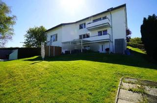 Mehrfamilienhaus kaufen in 32760 Detmold, Mehrfamilienhaus mit 4 ETW in Detmold, Spork-Eichholz