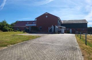 Haus kaufen in Seefelder Weg 30, 25560 Warringholz, Paradies für Mensch und Pferd ein Traum für die Mehrgenerationenfamilie und