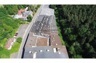 Gewerbeimmobilie kaufen in 67657 Innenstadt, Liegenschaft mit 18.000 m² Hallenflächen für verschiedene Nutzungsarten zu verkaufen