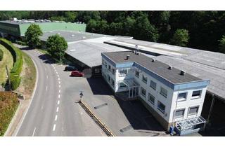 Gewerbeimmobilie kaufen in 67098 Bad Dürkheim, Liegenschaft mit 18.000 m² Hallenflächen für verschiedene Nutzungsarten zu verkaufen