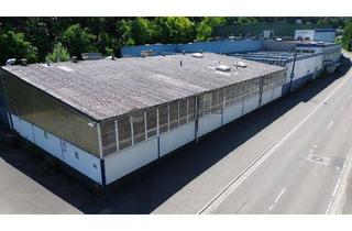 Gewerbeimmobilie mieten in 67098 Bad Dürkheim, Hallenflächen teilbar ab 250 m² zu vermieten