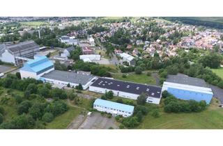 Gewerbeimmobilie kaufen in Am Vogelherd 74, 98693 Ilmenau, Vermietetes Gewerbeareal mit Industriehallen als Multi-Tenant-Investment