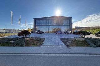 Gewerbeimmobilie mieten in Am Sörgenlocher Weg 30, 55291 Saulheim, Effizient nutzbare Produktionshalle mit 1528 m² Gesamtfläche in Saulheim