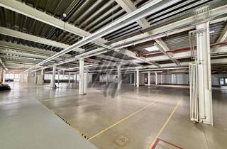 Gewerbeimmobilie mieten in 69190 Walldorf, KEINE PROVISION ✓ SCHNELL VERFÜGBAR ✓ Lager (4.800 m²) zu vermieten