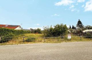 Grundstück zu kaufen in 38524 Sassenburg, Baugrundstück im Naherholungsgebiet am Bernsteinsee