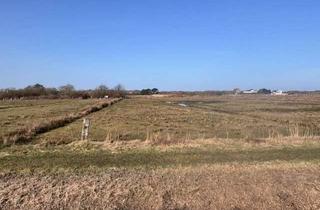 Grundstück zu kaufen in Willrath-Dreesen-Strasse, 26465 Langeoog, Schönes Meedengrundstück zu verkaufen
