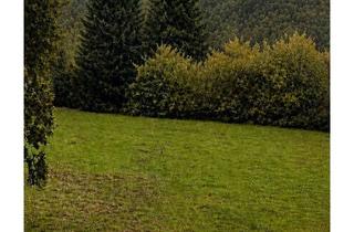 Grundstück zu kaufen in 66969 Lemberg, Ihr Traum vom Eigenheim beginnt hier - 603 m² Baugrundstück in Lemberg