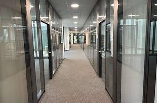 Büro zu mieten in Am Bollgraben, 76534 Steinbach, Moderne Büroflächen in Baden-Baden/Steinbach zu vermieten